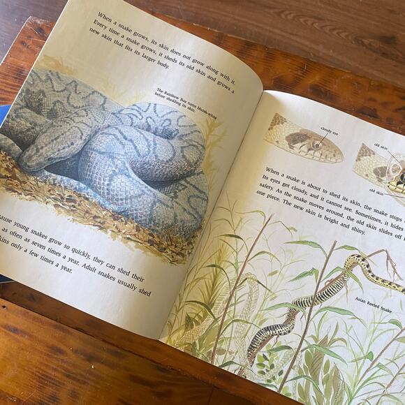 Vintage 90s Bundle of 2 Snakes & Lizards Paperback Books - Picture 7 of 8